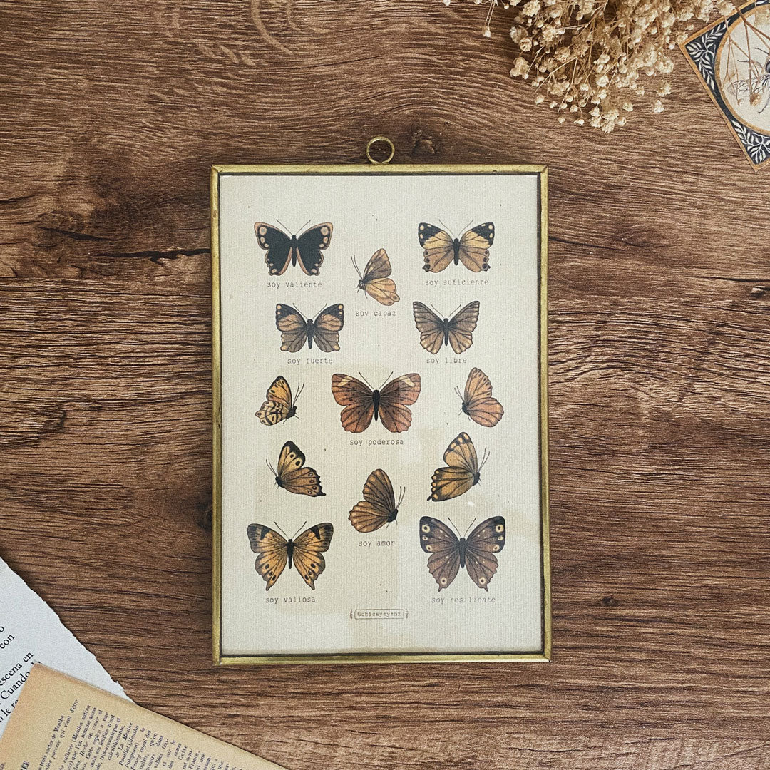 Postal/ Mariposas