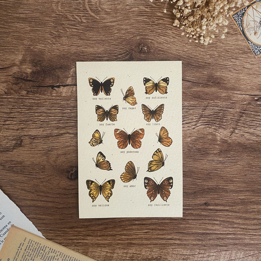 Postal/ Mariposas