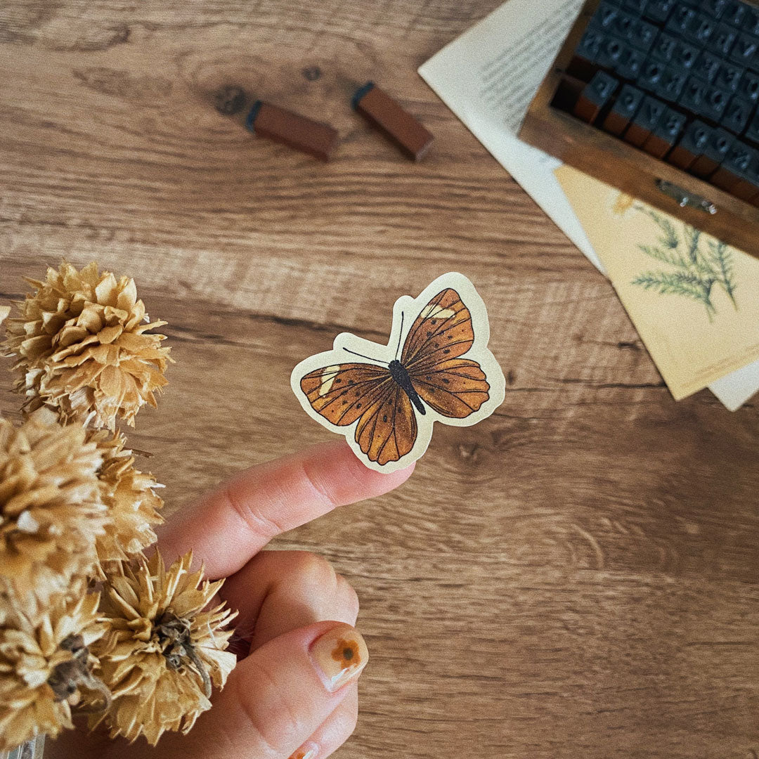 Planilla de stickers/ Mariposas