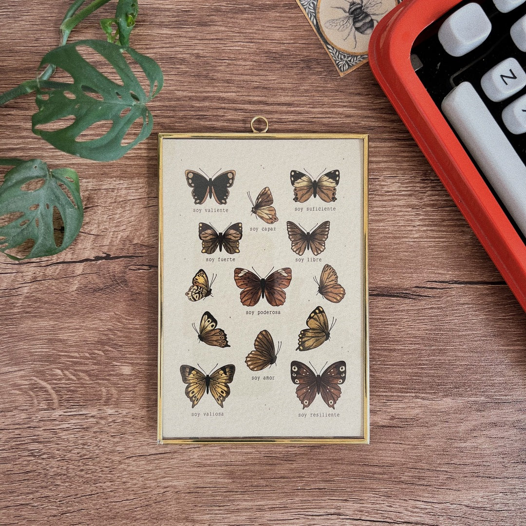 Postal/ Mariposas