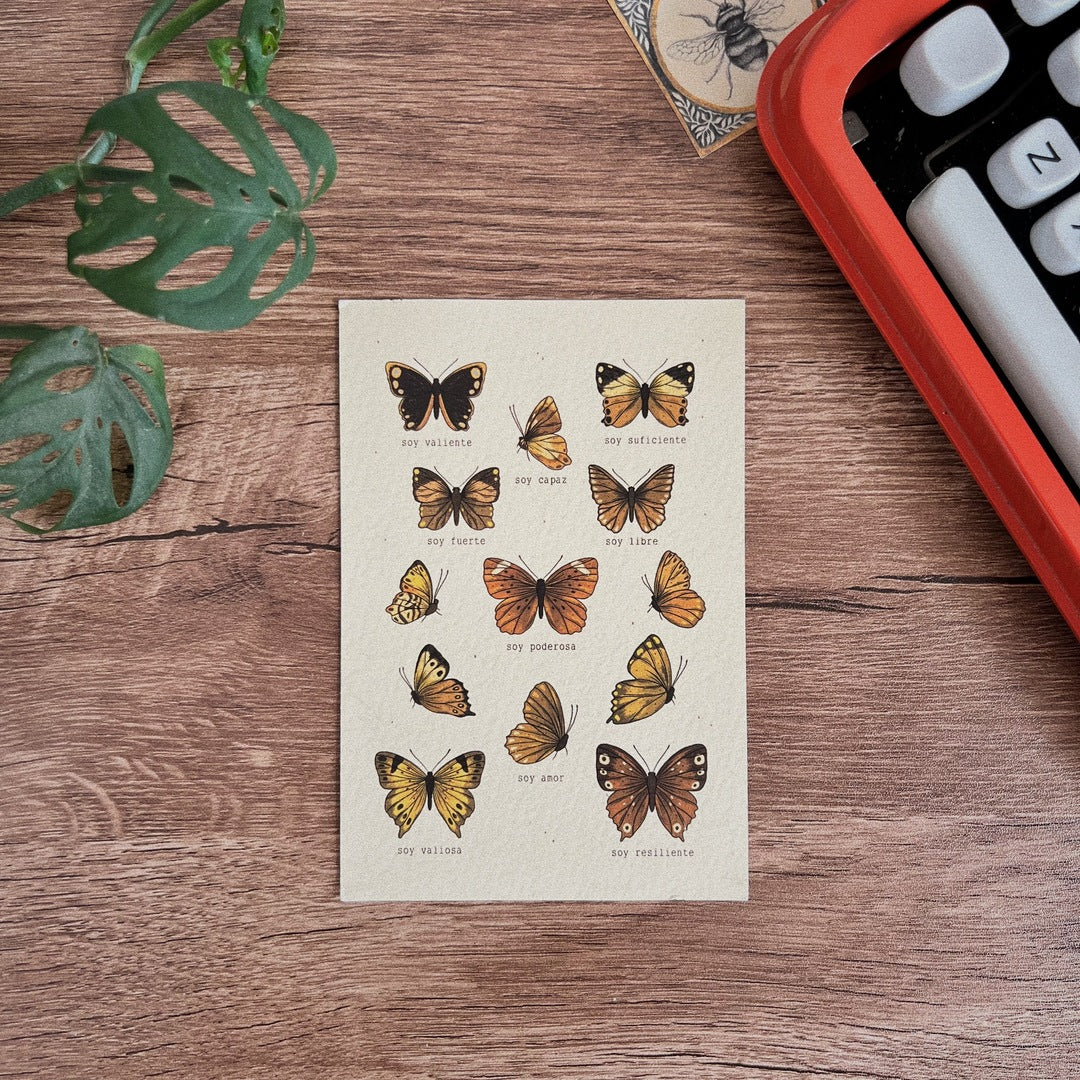 Postal/ Mariposas