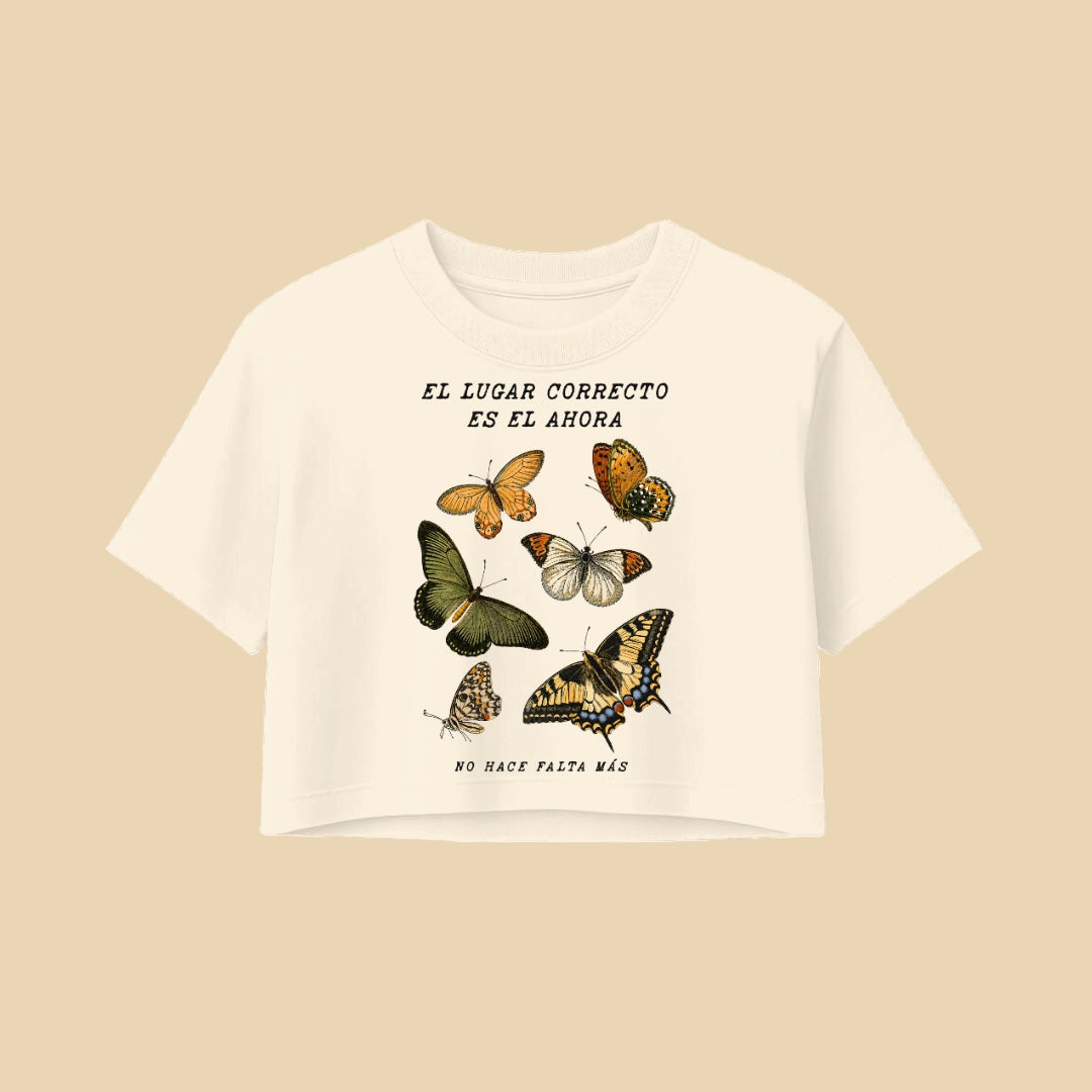 Playeras