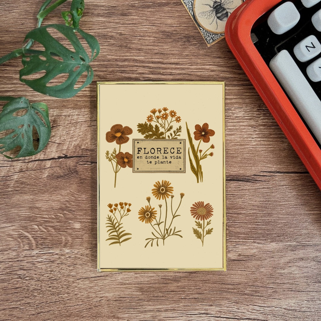 Postal enmarcada / Florece