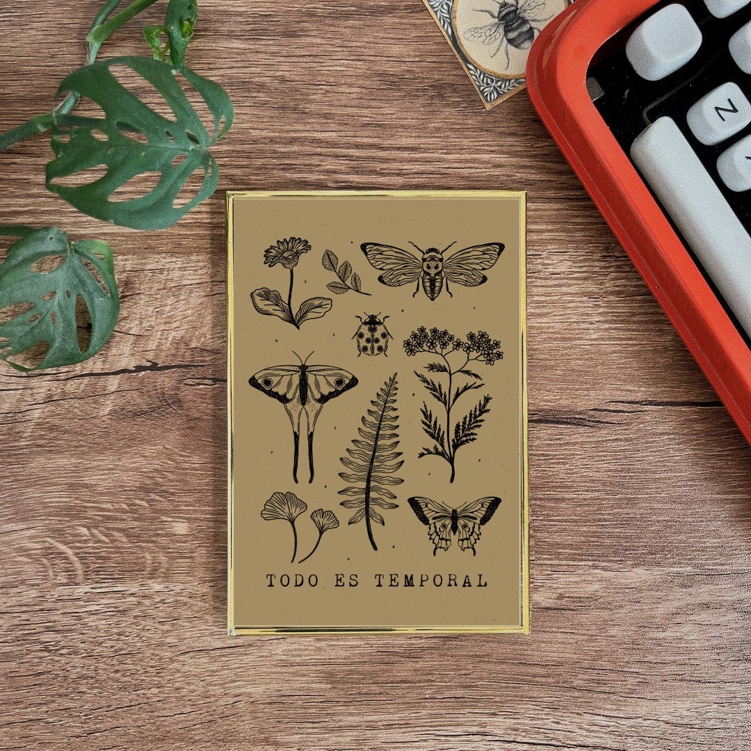 Postal enmarcada / Todo es temporal