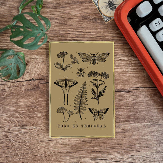 Postal enmarcada / Todo es temporal