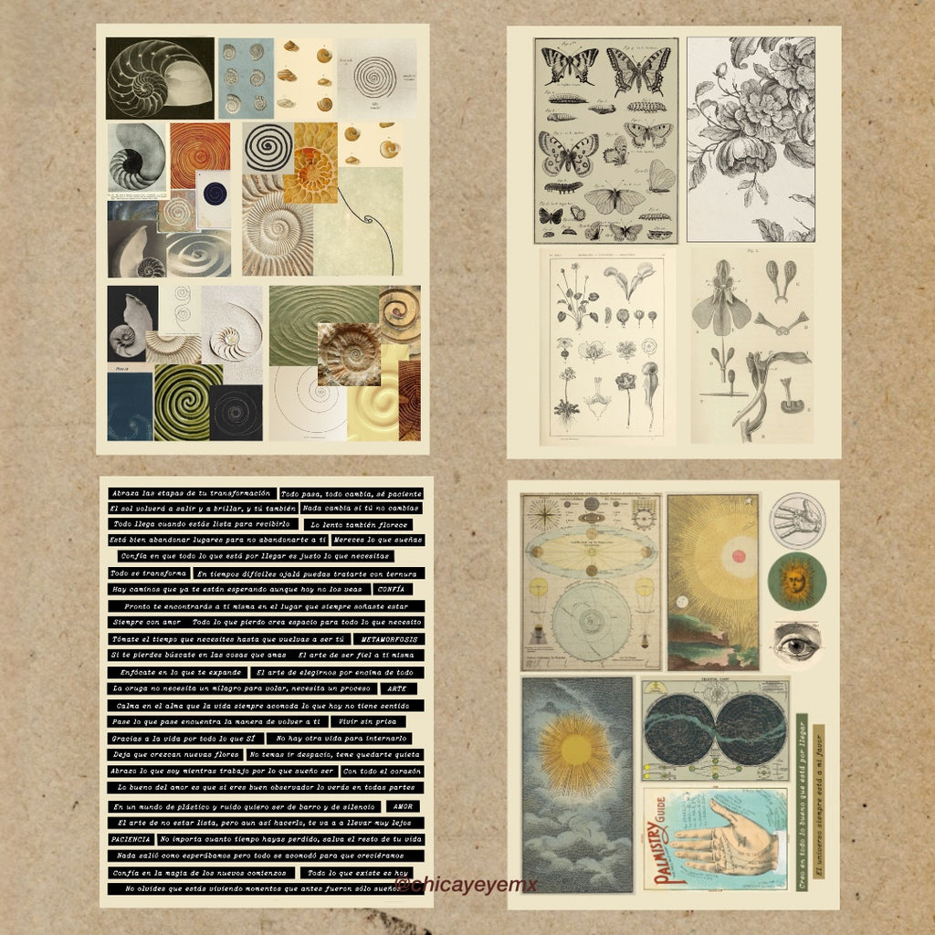Elementos para Collage y journaling - Descargables