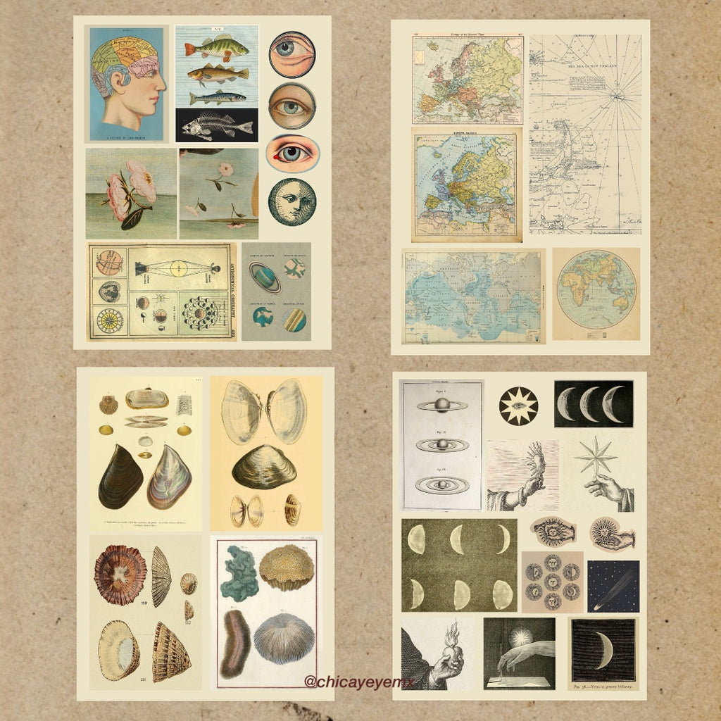 Elementos para Collage y journaling - Descargables