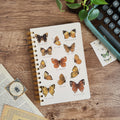 Libreta pasta dura/ Mariposas