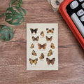 Postal/ Mariposas